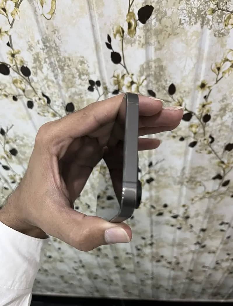 Apple iPhone 13 Pro Max 2