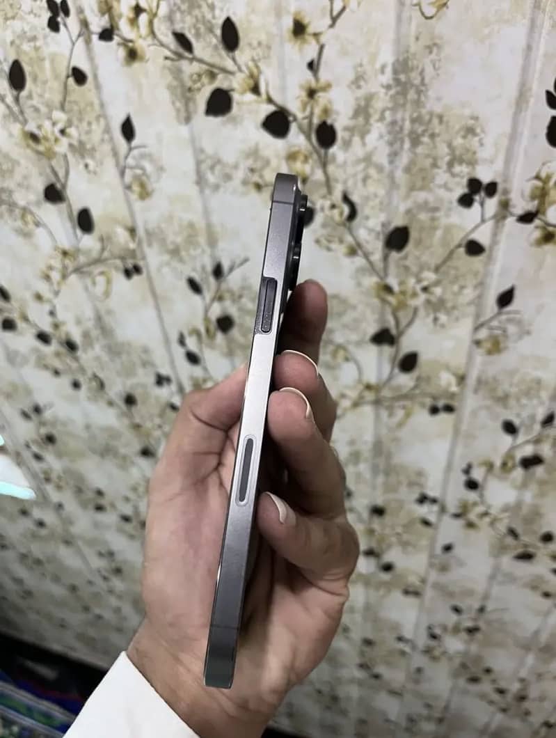 Apple iPhone 13 Pro Max 4