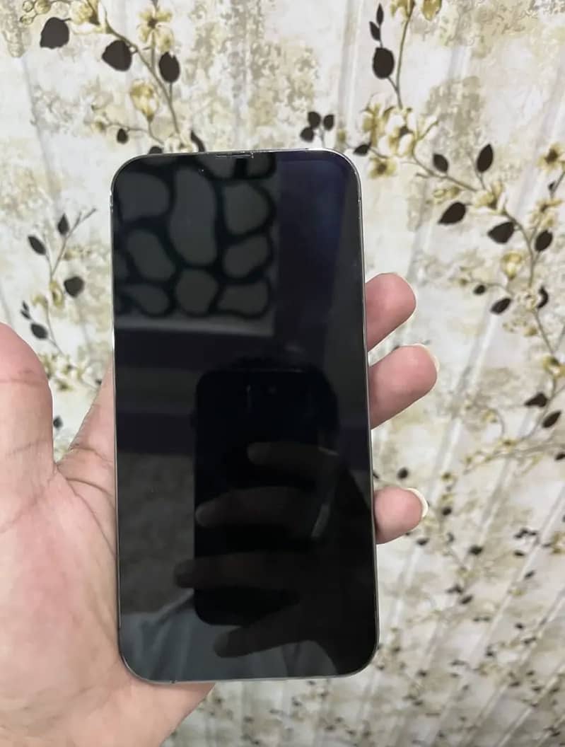 Apple iPhone 13 Pro Max 5