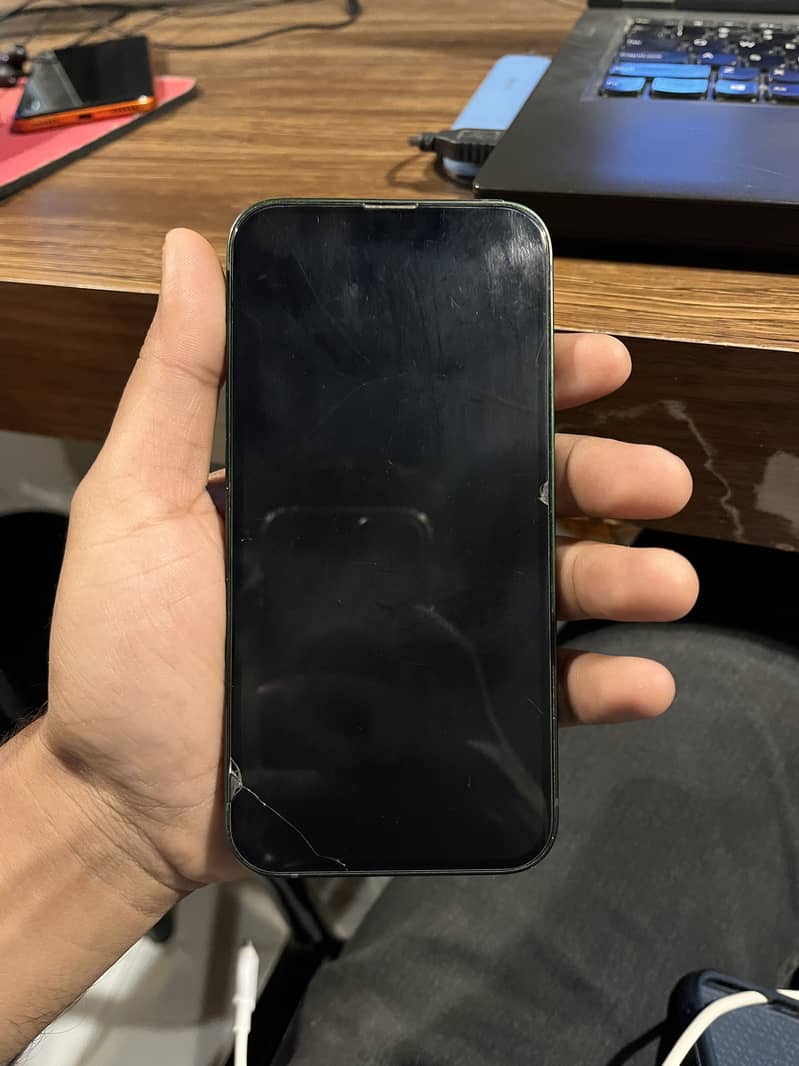 Apple iPhone 13 0