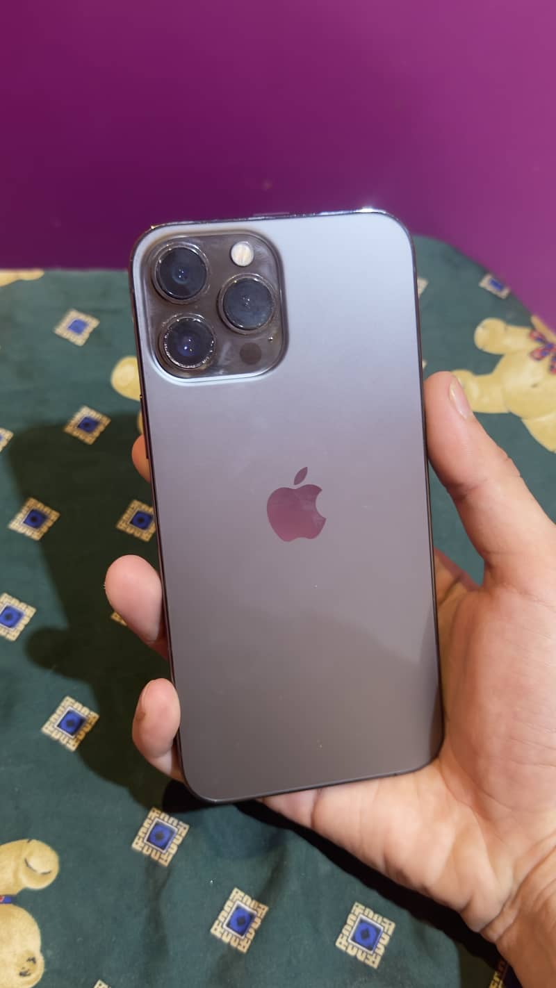 Apple iPhone 13 Pro Max 2