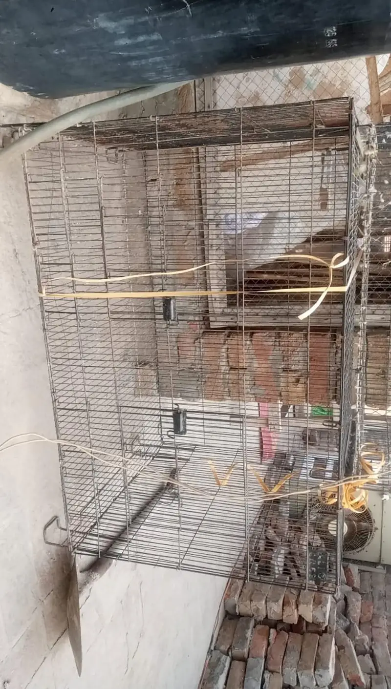 cages in good condition — photo 2