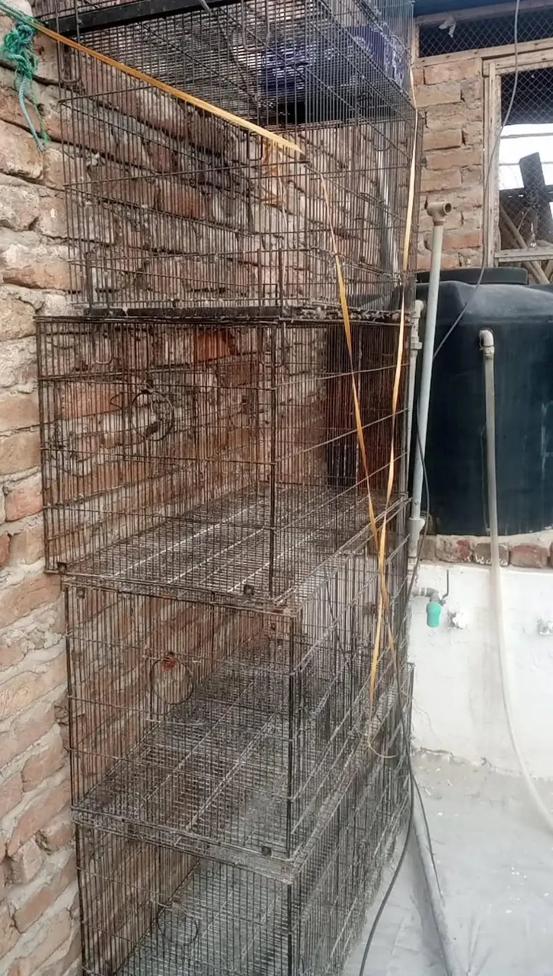 cages in good condition — photo 3