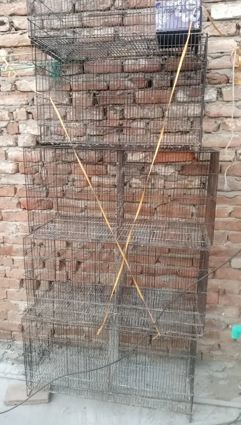 cages in good condition — photo 4