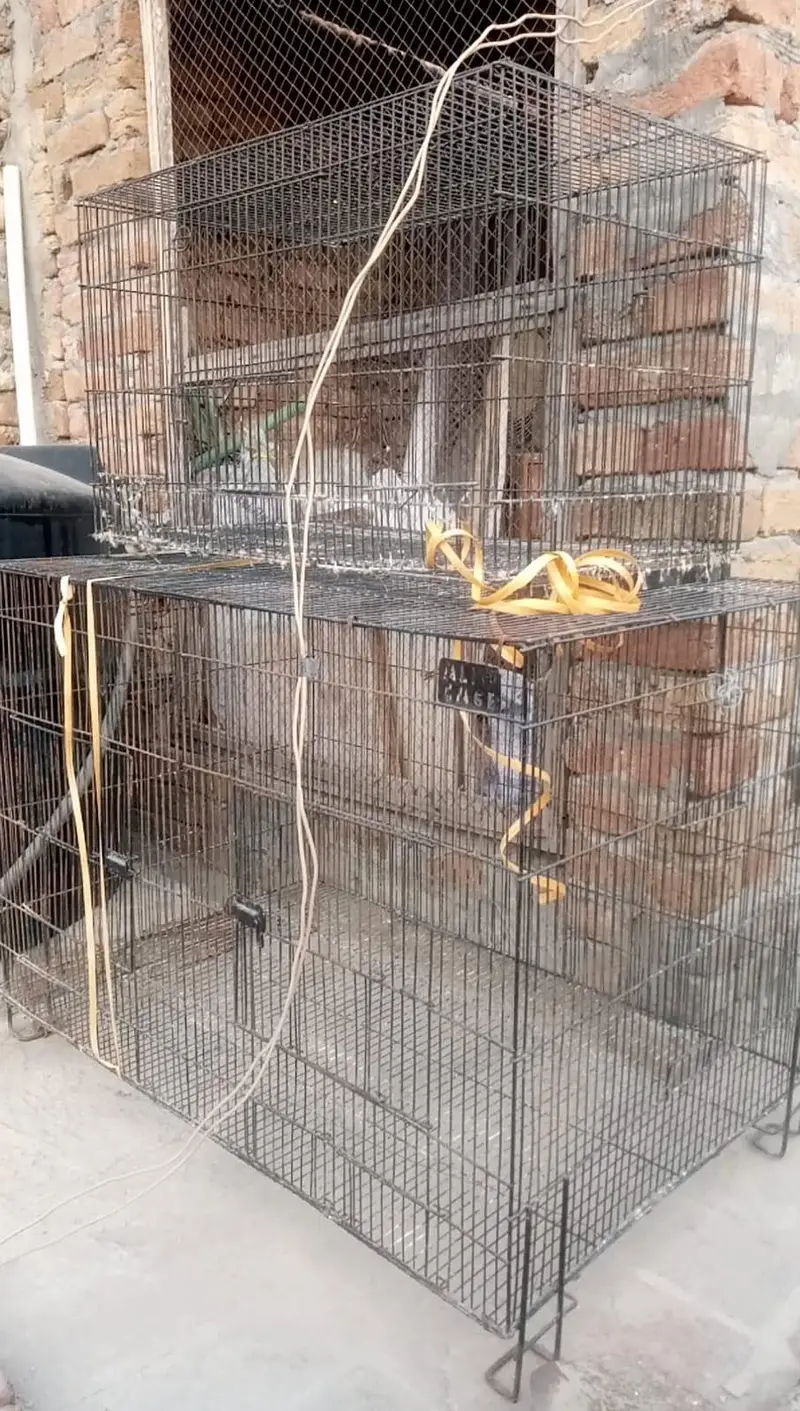cages in good condition — photo 5