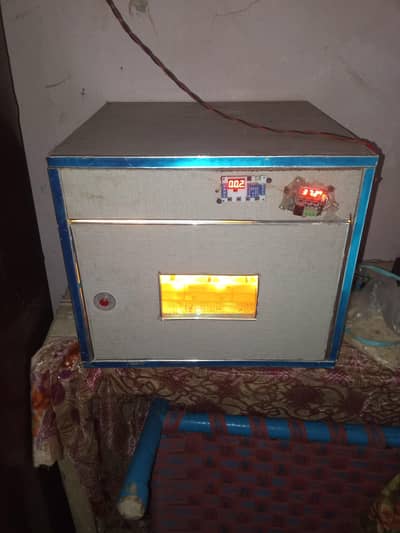 incubator for sale