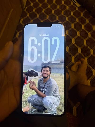 Apple iPhone 13 Pro Max