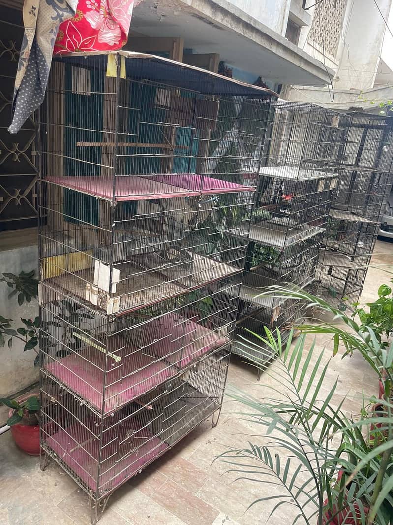 Cages 0