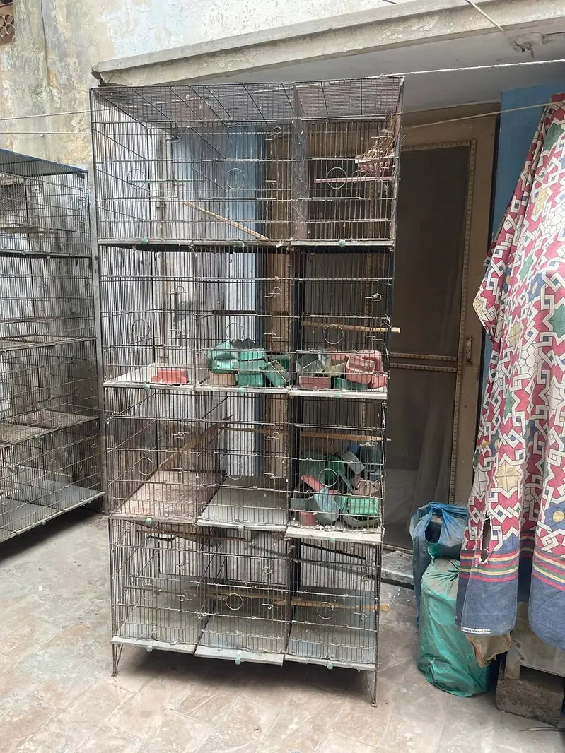 Cages — photo 2