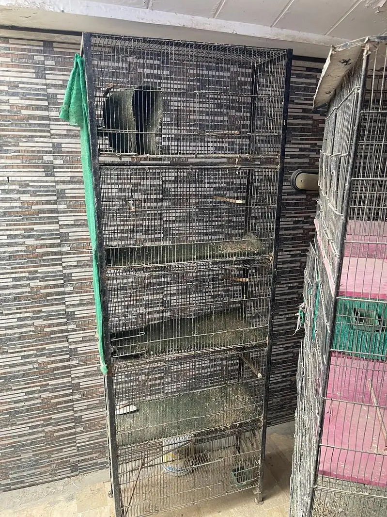 Cages — photo 3