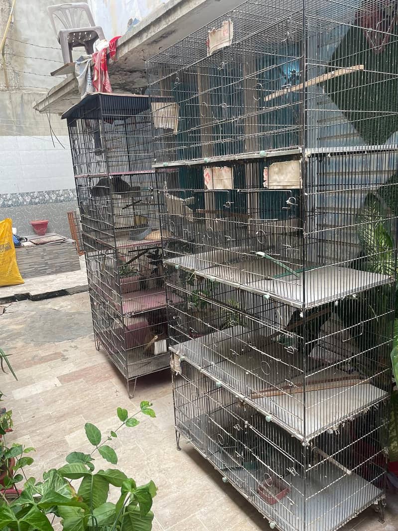 Cages 3