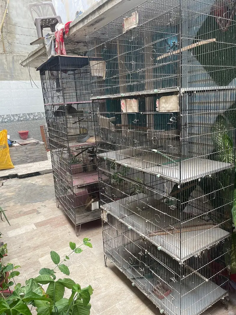Cages — photo 4