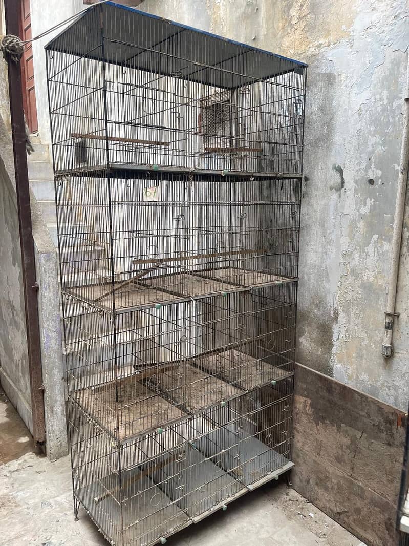 Cages 4