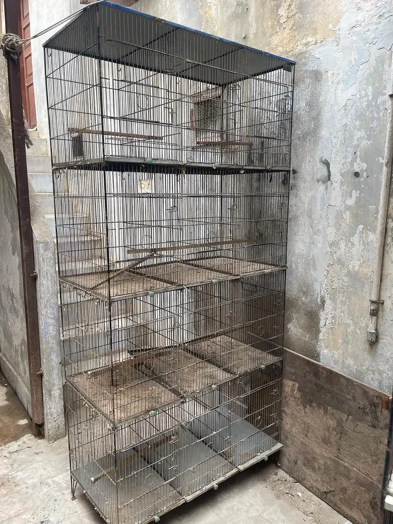 Cages — photo 5