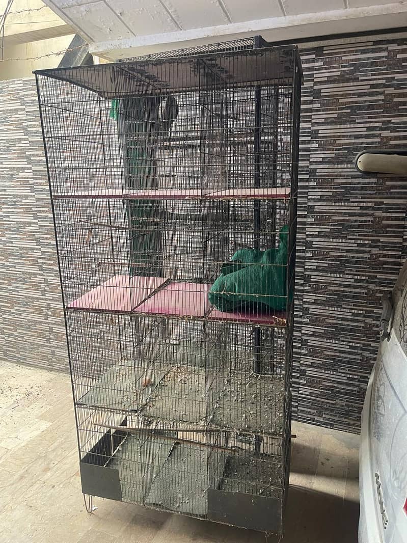 Cages 5