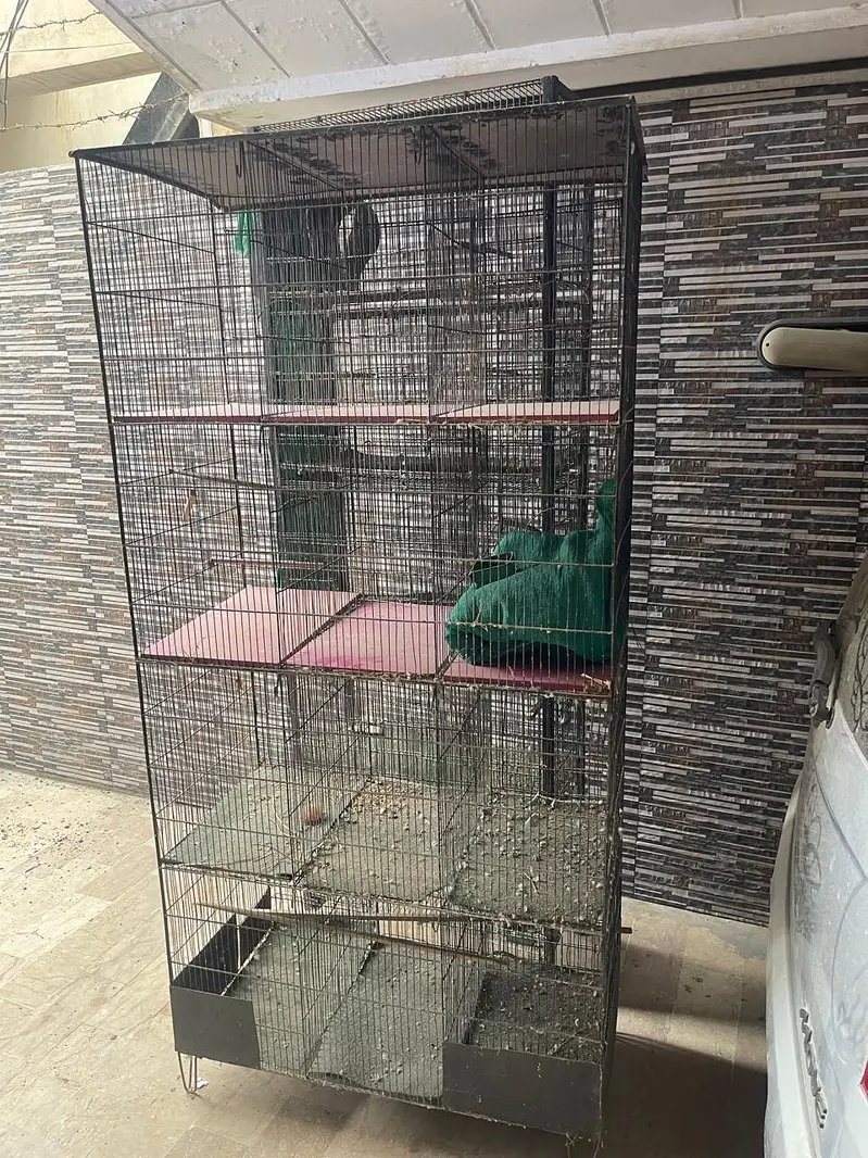 Cages — photo 6