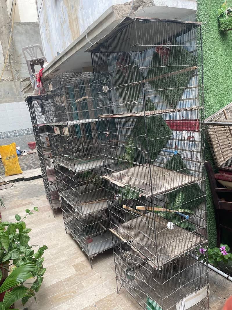 Cages 6