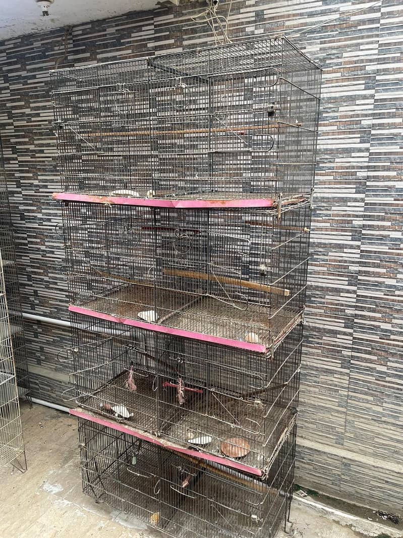 Cages 7