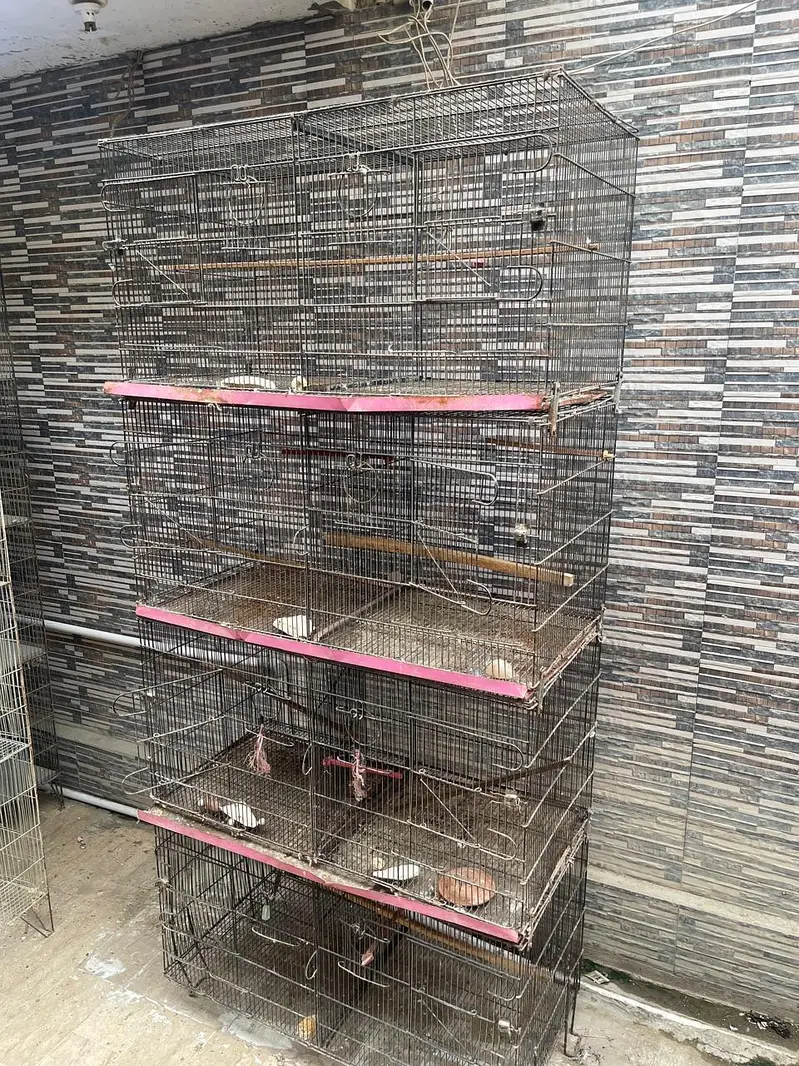 Cages — photo 8