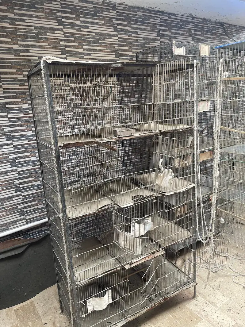 Cages — photo 10
