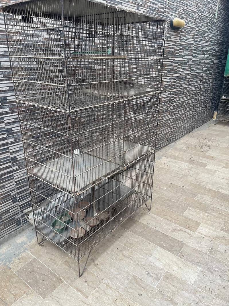 Cages 10