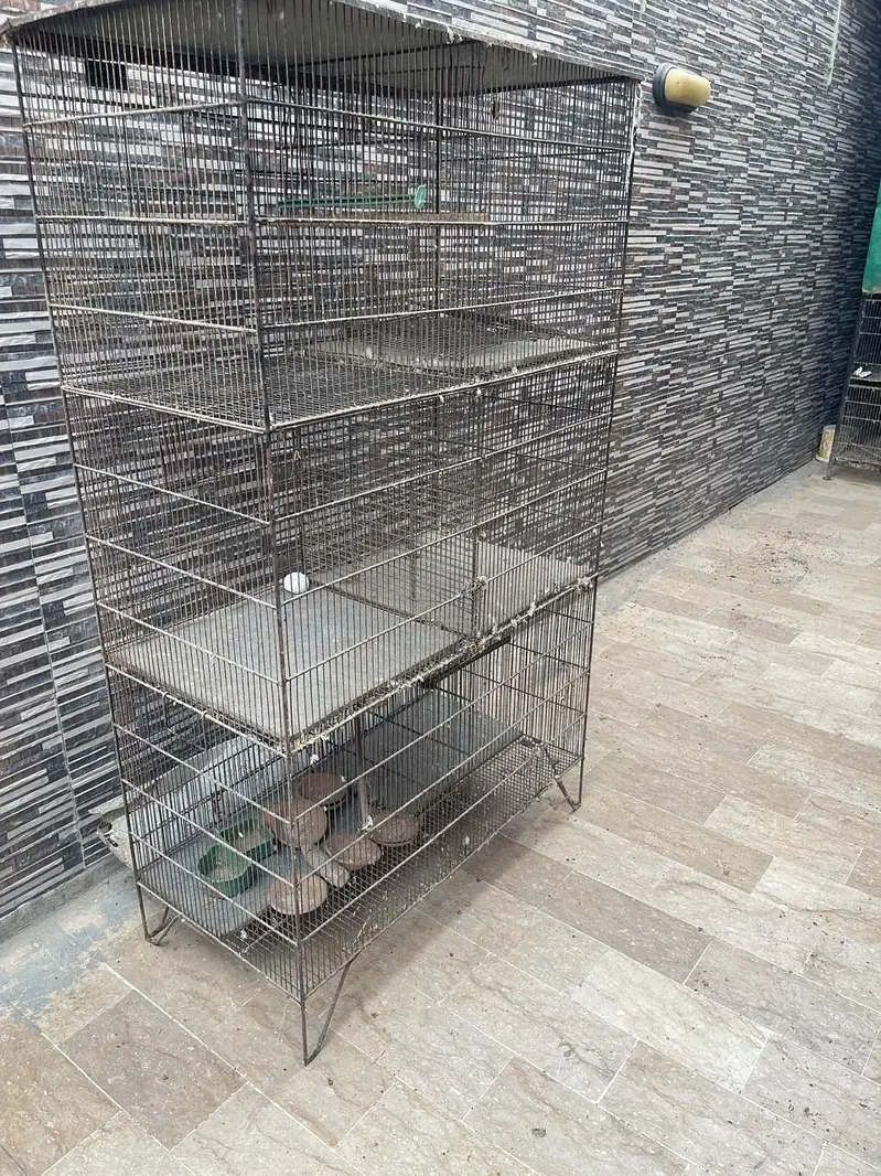 Cages — photo 11