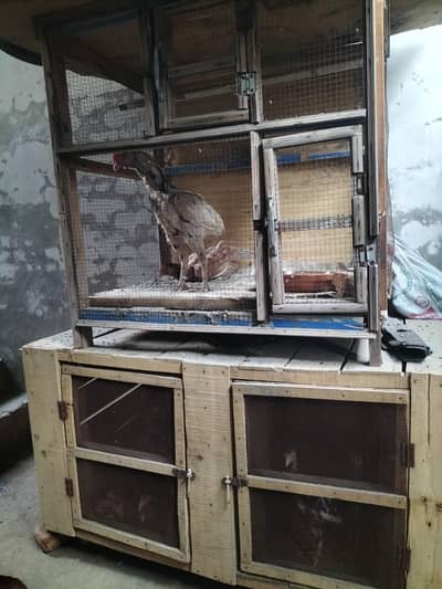 setup for sale