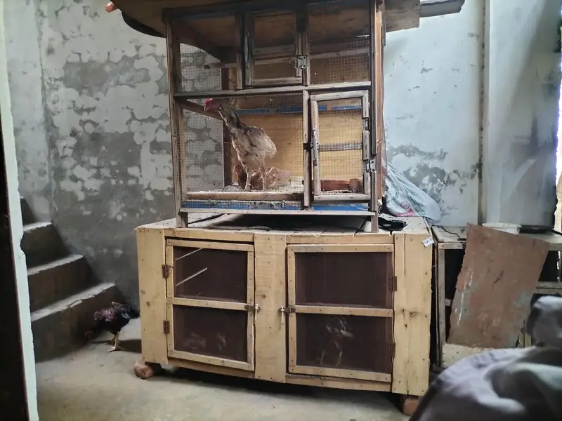 setup for sale — photo 2
