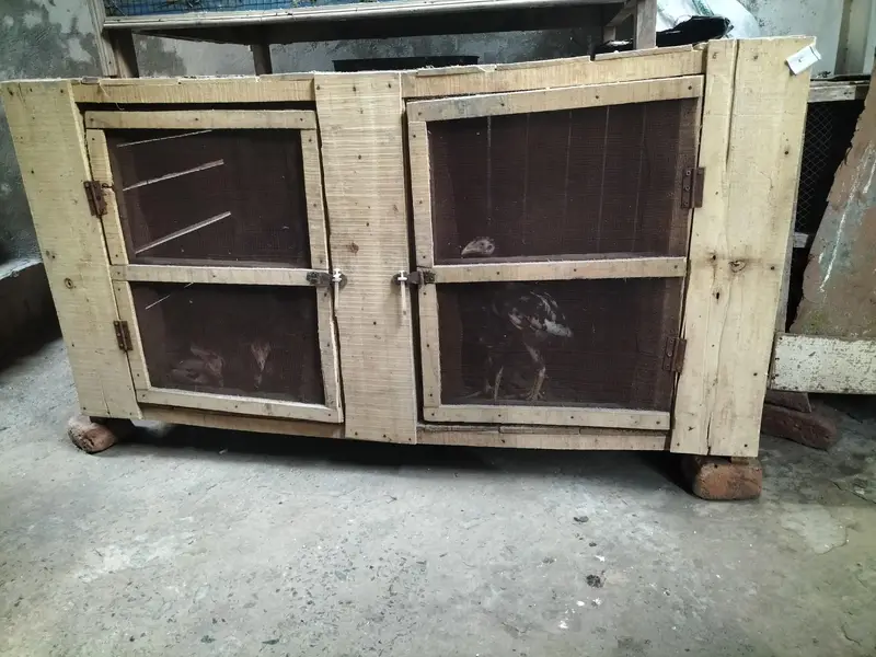 setup for sale — photo 3