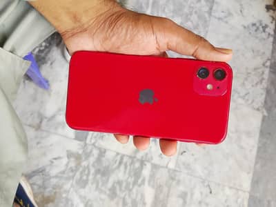 I phone 11 non pta Fu 64 GB