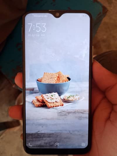 Vivo Y17
