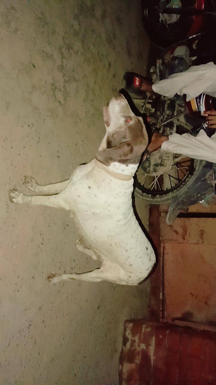 pointer 1