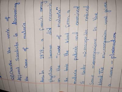 assignment writing