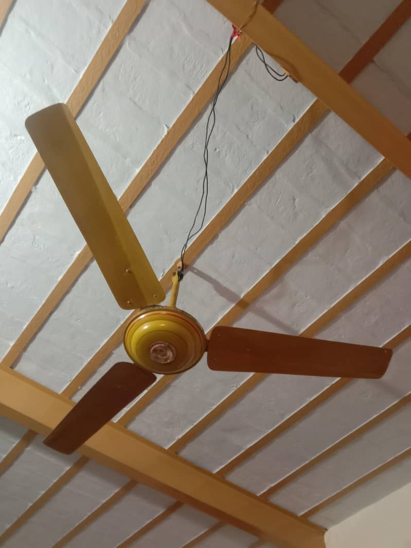 Ceiling Fans 1