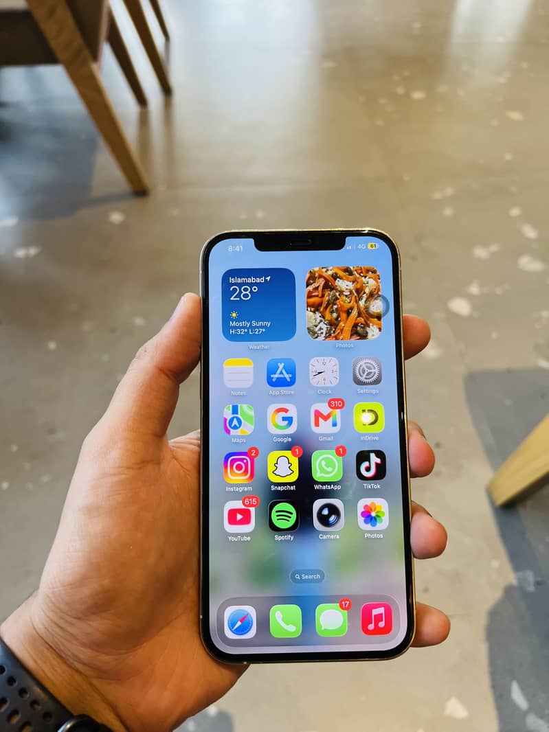 Apple iPhone 12 Pro Max 1