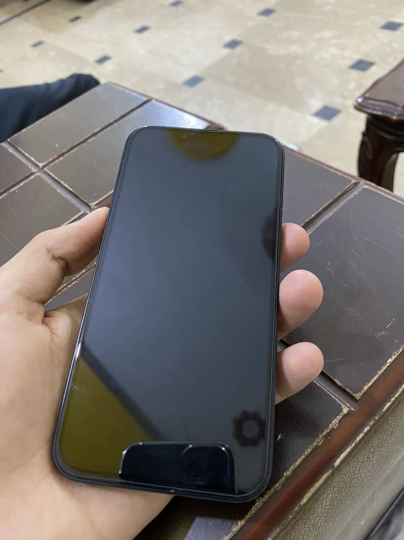 Apple iPhone 13 0