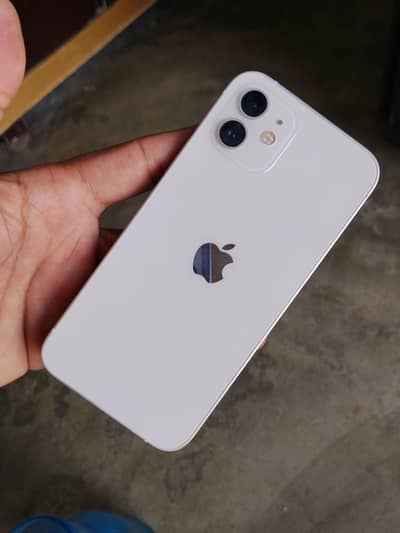 iPhone 12
