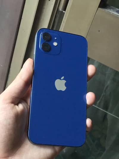 Apple iPhone 12