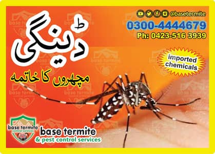 Dengue spary ,Termite control ,Deemak control,Fumgation,Pest control