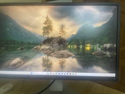 Dell LCD screen