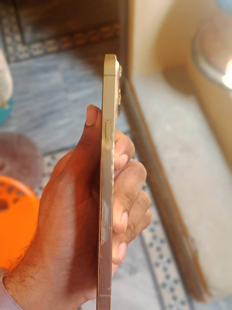 Apple iPhone 13 Pro Max 3