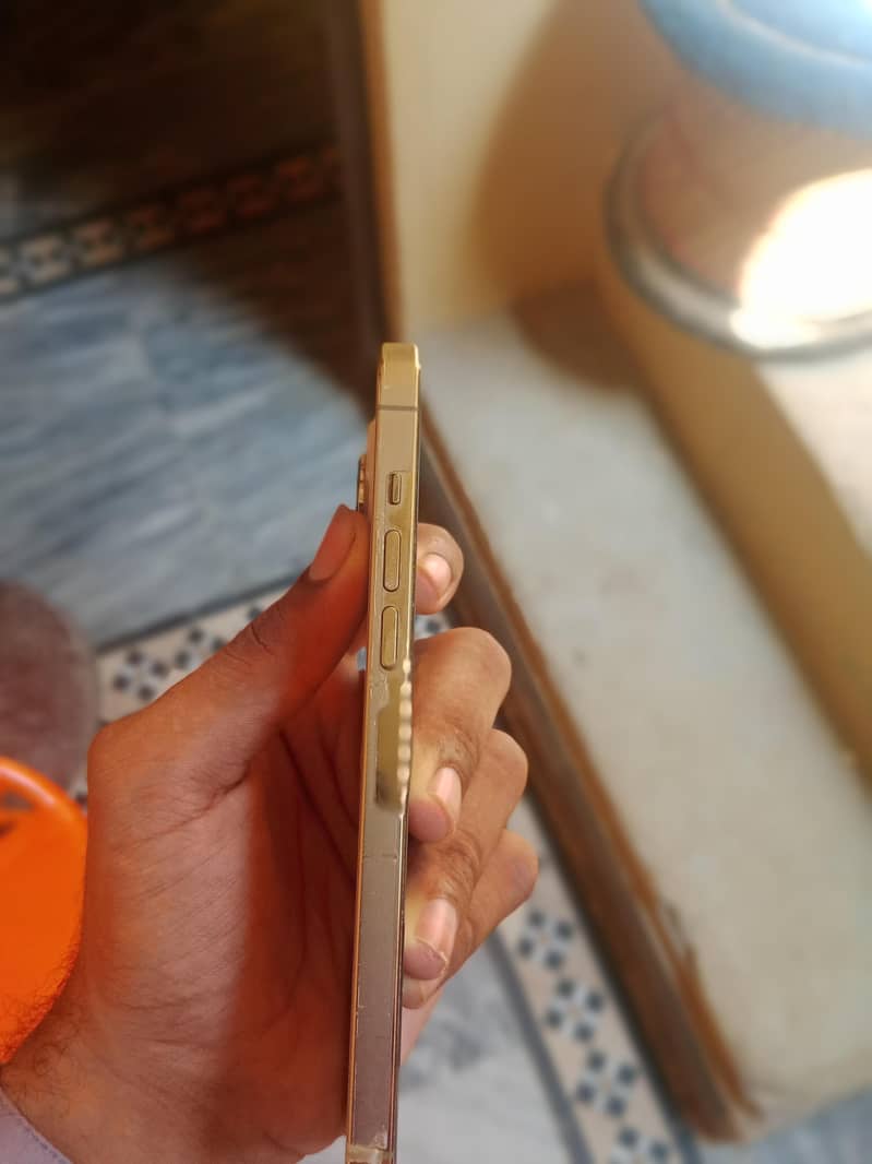 Apple iPhone 13 Pro Max 4