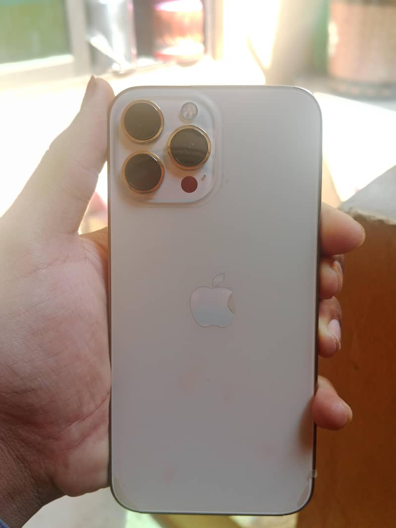 Apple iPhone 13 Pro Max 5