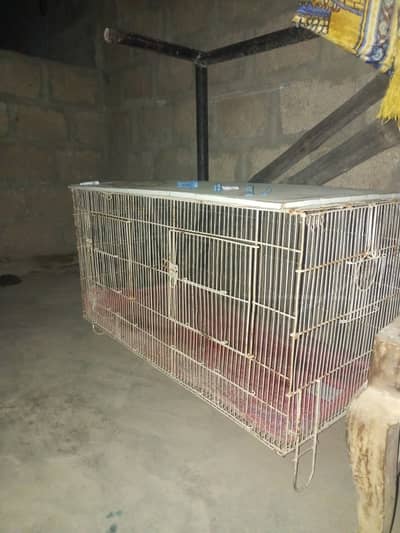 Bird cage for sale
