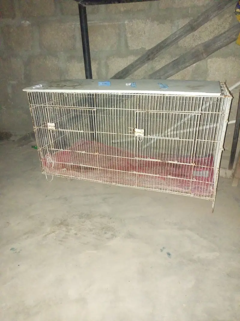 Bird cage for sale — photo 2