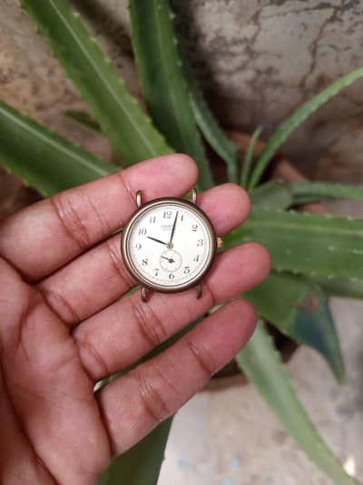casio
