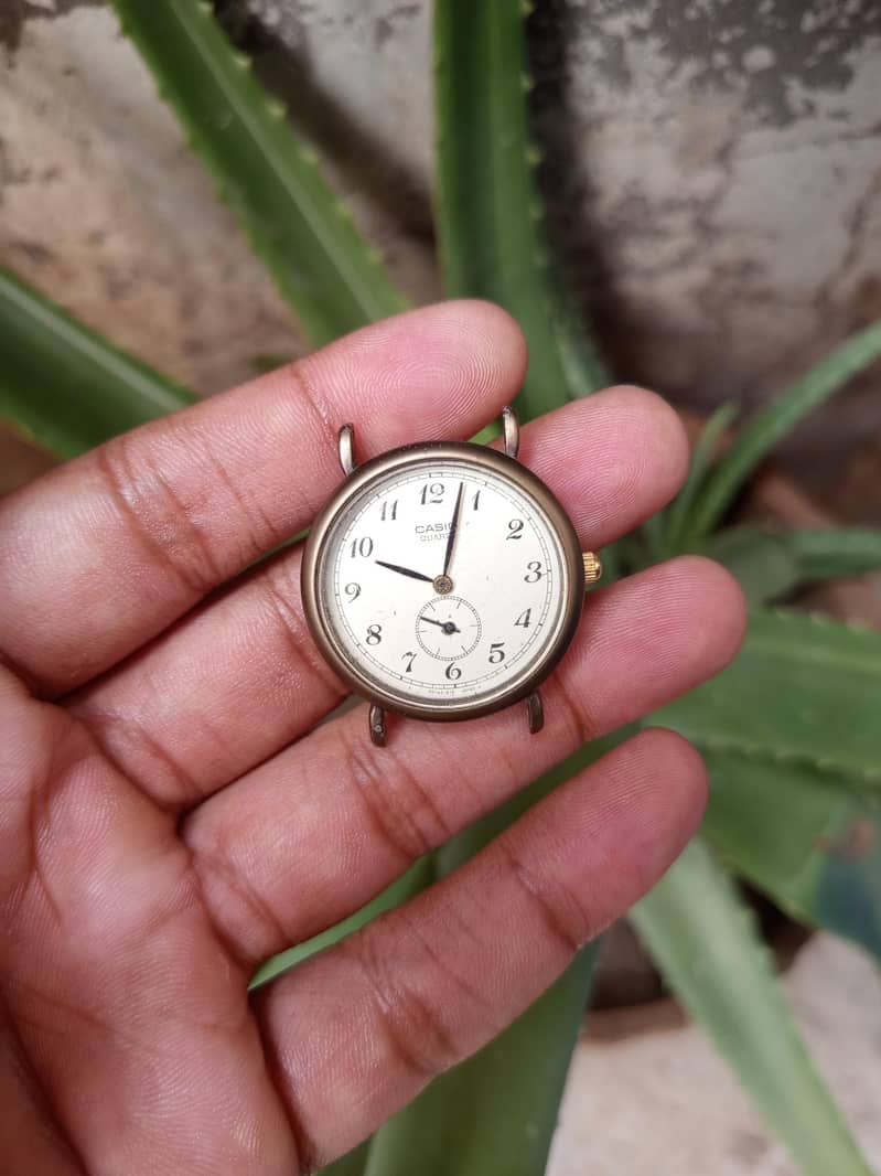 casio 1