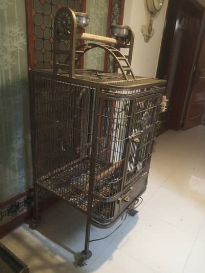 Exotics parrots cage