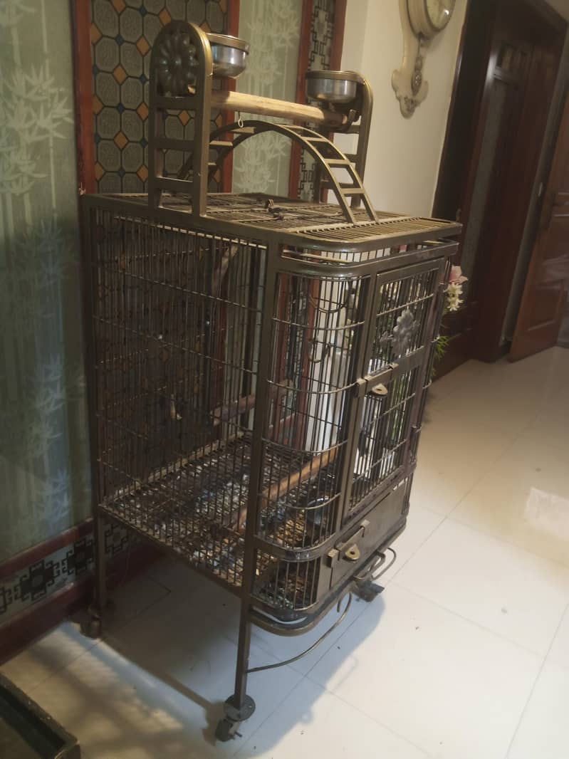 Exotics parrots cage 0