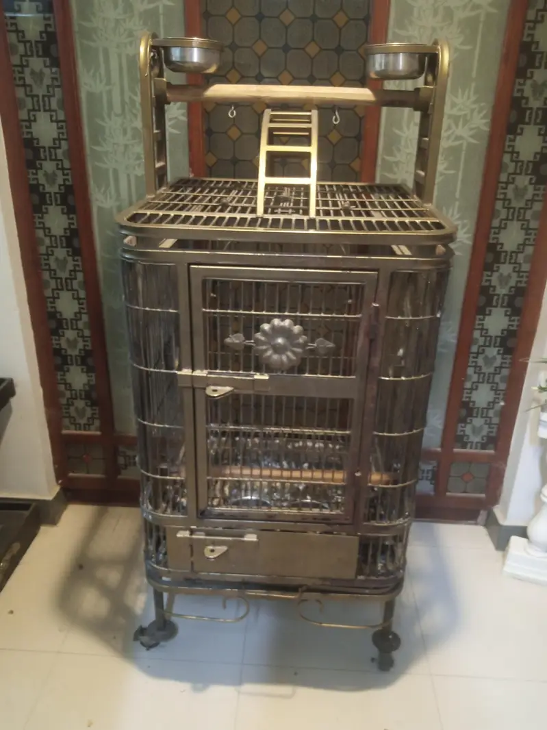 Exotics parrots cage — photo 2